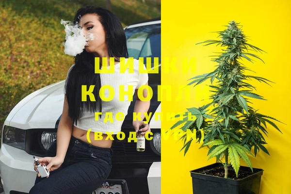 каннабис Алексеевка