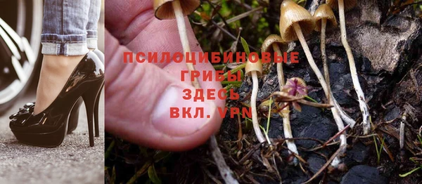 каннабис Алексеевка