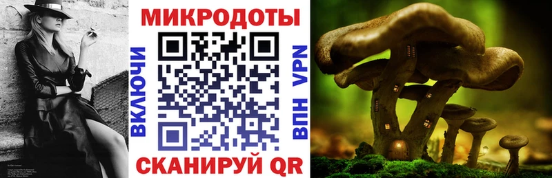 Псилоцибиновые грибы GOLDEN TEACHER  Могоча 